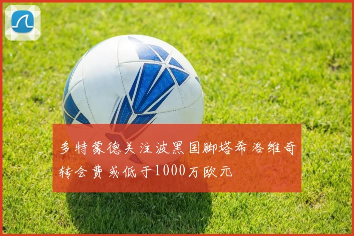 多特蒙德关注波黑国脚塔希洛维奇转会费或低于1000万欧元