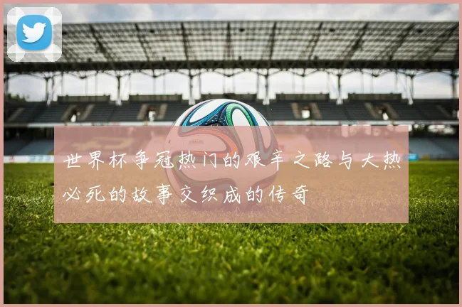 世界杯争冠热门的艰辛之路与大热必死的故事交织成的传奇
